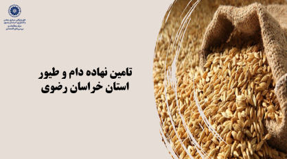 تامین نهاده دام و طیور استان خراسان رضوی